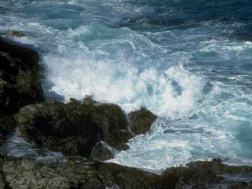 Let the sea roar, and the fulness thereof; 